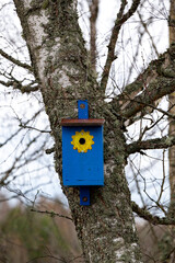 Bird house on tree trunk Kumla Sweden