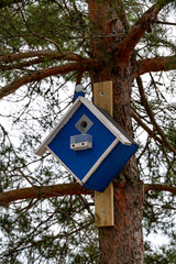 Bird house on tree trunk Kumla Sweden