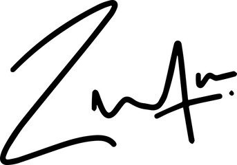 Letter Z Signature