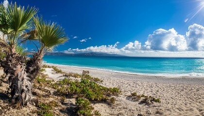 Naklejka premium Bright and Vibrant Summer Banner Background