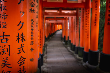 Fushimi inari shrine