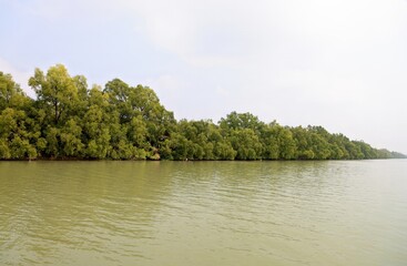  A view of The Sundarbans.Sundarbans National Park is a large coastal mangrove forest, shared by India and Bangladesh.