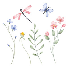 Flowers, leaves, butterfly and dragonfly set, floral watercolor botanical illustration for greeting card, invitation and other printing design. Isolated on white. Hand drawing.