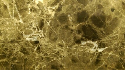 the colorful abstract background texture
