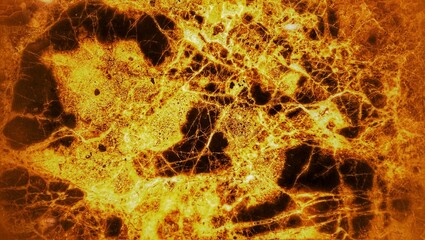 the abstract colorful background texture