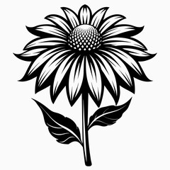 Echinacea silhouette. Black Echinacea vector illustration isolated on a white background 