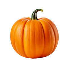 Fototapeta premium One big orange pumpkin in closeup isolated on PNG background. Generative AI.