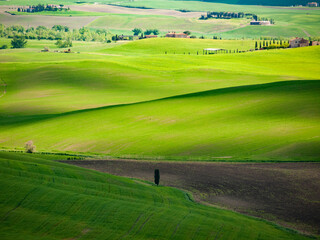 Italia, Toscana, provincia di Siena, Pienza. La campagna della Val d'Orcia.