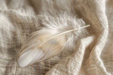 A soft feather resting on textured linen, gentle hues.