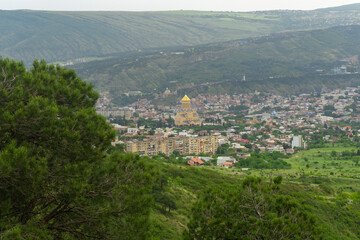 Coniferous tree in the foreground. Holy Trinity Cathedral of Tbilisi from Makhata mountain.