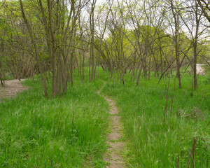 Obraz premium Walking paths near town, verona