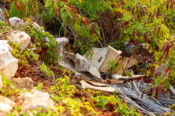 pollution cartons boxes dumped bushland