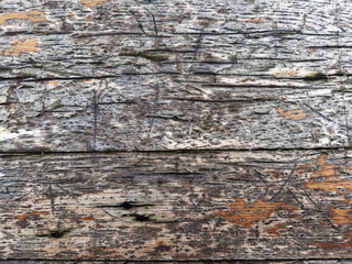 Abstract background. Old wood texture as background.