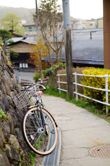 Utility bicycle parked near stone wall on footpath near flower garden in town, close up.