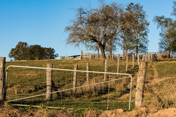 Fototapeta premium cattleyards farm landscape, gate paddocks fences, rustic rural agricultural, Australian farming lifestyle