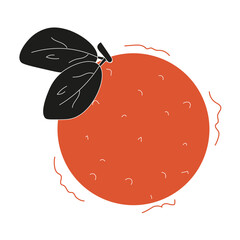 Vector Doodle orange in trend Woodcut Hand Drawn style isolated transparent background. Simple Minimalism apple. Vector can used t-shirt print, greeting card cover design.