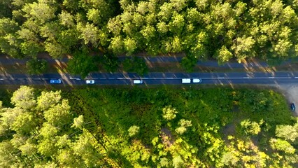 Vans driving along a road through pine trees forest filmed vertical with a drone 