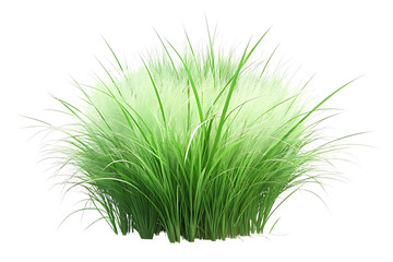 Freshly cut wild grass, a symbol of nature and freshness, presented in high definition against a transparent background
