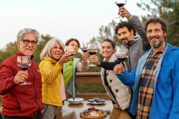 Cheerful Friends Toasting Wine Outdoors - Celebration