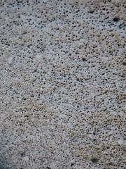 Texture of aerated concrete. What's inside a building block? White aerated concrete texture or background