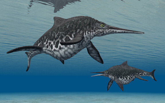 Ichthyosaurier Shonisaurus