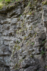 Background of rock wall with moss and lichen