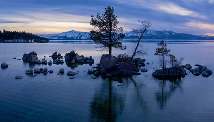 Lone tree on rocks at sunset on a calm Lake Tahoe. In the background os a forest and mountains...