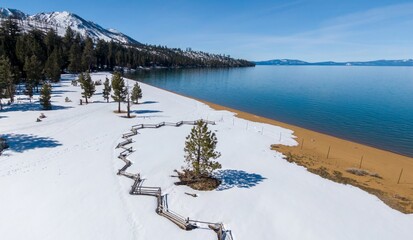 Lone pine tree and  fence on Baldwin Beach and snow on ground on Lake Tahoe. Cascade, South Lake Tahoe, California, United States of America.