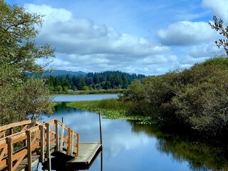 Scenic view of Sutton Lake dock on a sunny day in Florence, OR
