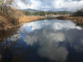 Scenic view of Sutton Lake on a sunny day with cloud reflections in calm waters, Florence, Oregon