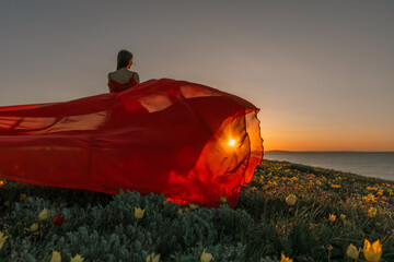 A woman in a red dress is standing in a field with the sun setting behind her. She is reaching up...