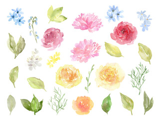 Watercolor Pink Yellow Flowers: Roses, Peonies and Green Leaves with transparent background