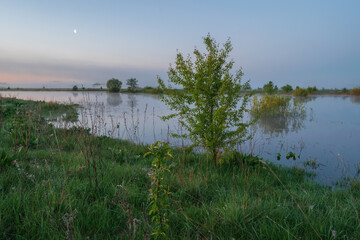 small lake in the forest