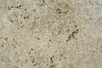 Beige stone surface photographed from above