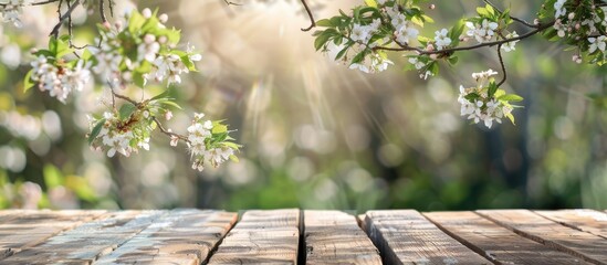 Wooden boards set against a backdrop of blossoming spring.