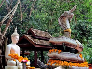 Buddha Statue with Naga Snake