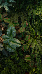 Fototapeta premium Tropical green leaves background, Nature Wall Lush Foliage Leaf Texture, Vertical image.