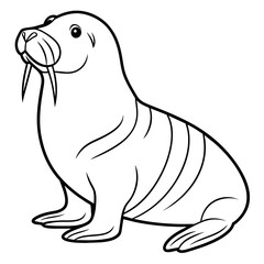 Walrus vector art illustration, solid white background (7)