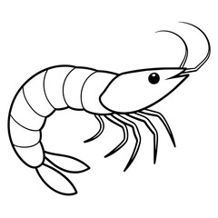 Shrimp vector clipart art illustration, solid white background (9)