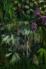 Tropical green leaves background, Nature Wall Lush Foliage Leaf Texture, Vertical image.