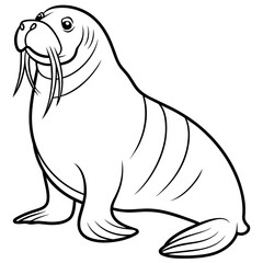 Walrus vector art illustration, solid white background (14)
