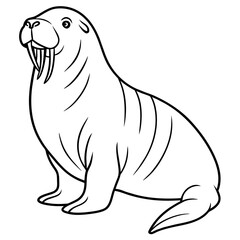 Walrus vector art illustration, solid white background (19)