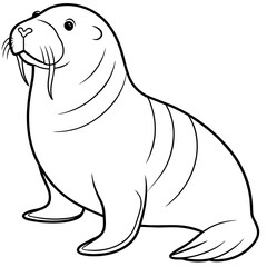 Walrus vector art illustration, solid white background (23)