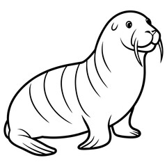 Walrus vector art illustration, solid white background (24)