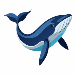 Whale vector clipart art illustration (12)