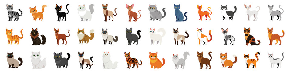 Collection of Cat Breeds Icons, vector cartoon illustration. Diverse cats - siamese, persian, maine coon, abyssinian, ragdoll, bengal, sphynx, russian blue, munchkin, domestic shorthair, pixiebob.