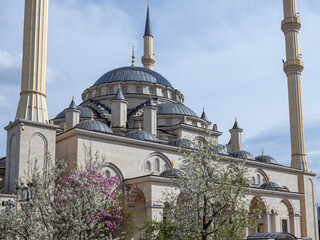 One of the largest mosques in the world is made in the classical Ottoman style. The exterior walls of the mosque are decorated with marble. Flowering trees grow in front of the mosque with minarets.