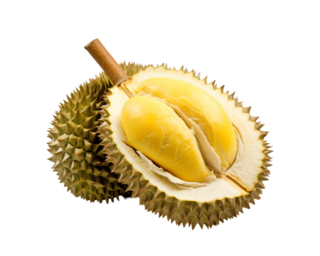 Two durians, one open showing the durian filling, are isolated in white, indicating a rich taste and texture. Generative AI