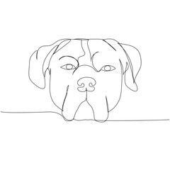 Cane Corso Italian dog breed, companion dog, guard dog, service dog one line art. Continuous line drawing of friend, dog, doggy, friendship, care, pet, animal, family, canine.