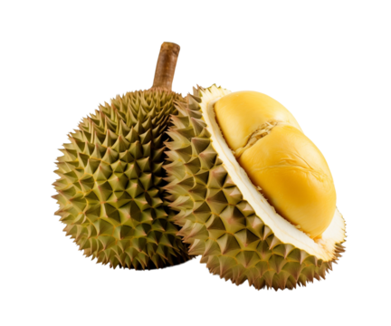 Two durians, one open showing the durian filling, are isolated in white, indicating a rich taste and texture. Generative AI